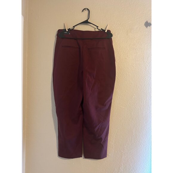 NWT - Express Super High Rise Supersoft Double Knit Nylon Ankle Pants - Picture 2 of 3